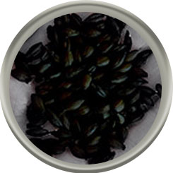 Product image for Pearled Black Malt