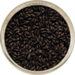 Product image for Roasted Barley Malt
