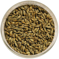 Product image for Vienna Malt
